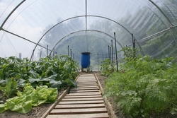 serre-tunnel