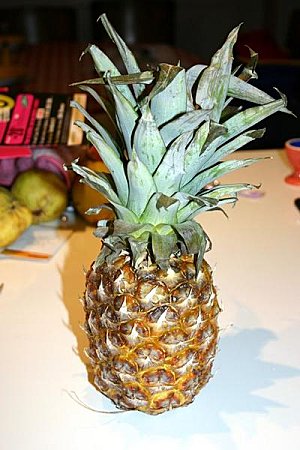 decoupe-ananas