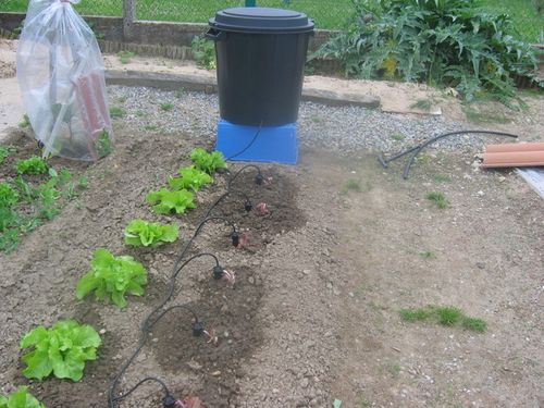 ARROSAGE-GOUTTE-A-GOUTTE