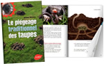 le-pi�geage-des-taupes-taup-green