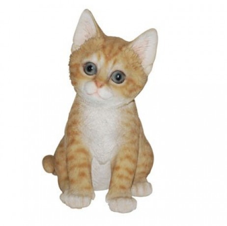 CHATON ASSIS ROUPAR 20CM CHATON ASSIS ROUPAR 20CM