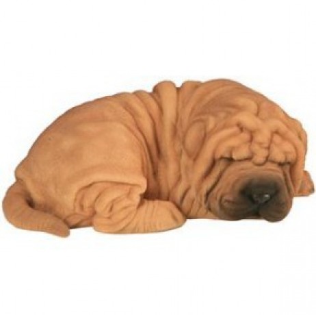 SHAR PEI BEBE DORMANT 22CM SHAR PEI BEBE DORMANT 22CM