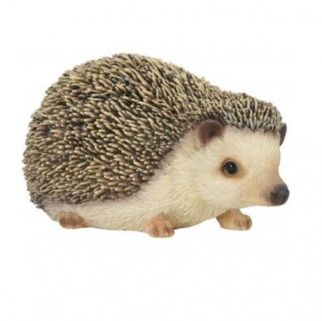 Herisson bébé Herisson bébé