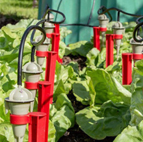 CTRICALVER Système d'irrigation Jardin, kit arrosage goutte à goutte, 10 m de tuyau d'irrigation goutte à goutte 1/4 avec 20 pcs buse arrosage, 20 pcs raccords en T et 5 pcs bouchons CTRICALVER Système d'irrigation Jardin, kit arrosage goutte à goutte, 10 m de tuyau d'irrigation goutte à goutte 1/4 avec 20 pcs buse arrosage, 20 pcs raccords en T et 5 pcs bouchons