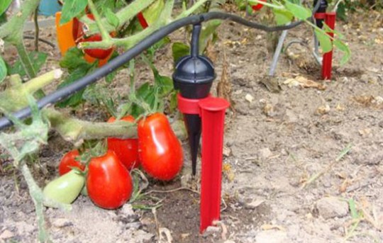 arrosage goutte à goutte Iriso
