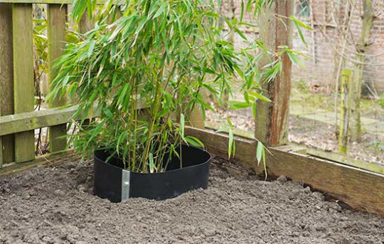 entretien jardin