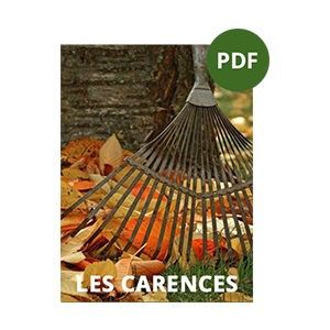 Couverture d'un PDF intitulé 'Les carences', avec une image de feuilles mortes et d'un râteau.