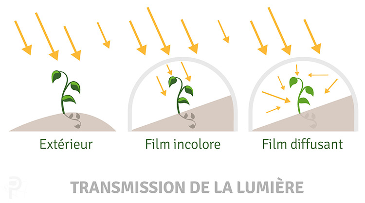 transmission lumineuse bache pour serre