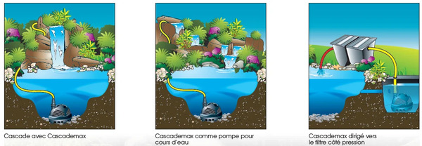 schema immersion pompe